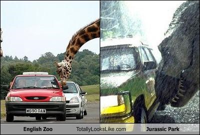 English Zoo Totally Looks Like Jurassic Park