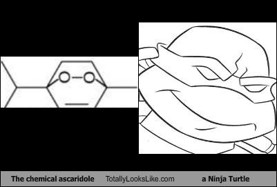 The chemical ascaridole Totally Looks Like a Ninja Turtle