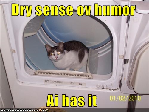 Dry sense ov humor  Ai has it