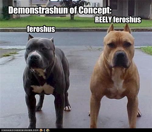 Demonstrashun of Concept: