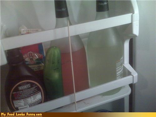 Funny Food Photos - Pickle Defender