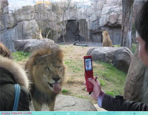 Acting Like Animals: Smile! You're on Candid Cameraphone