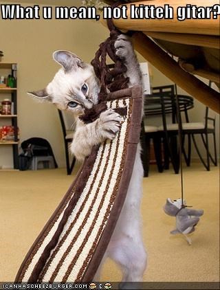 What u mean, not kitteh gitar?
