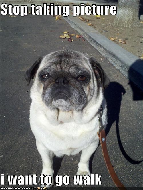 Stop taking picture  i want to go walk