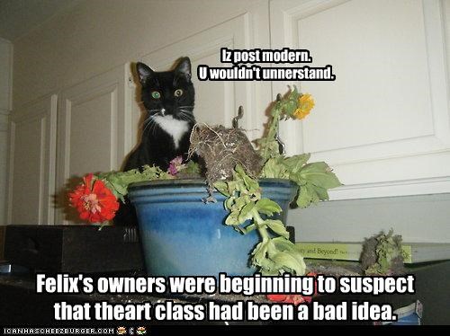 Felix's owners were beginning to suspect that theart class had been a bad idea.