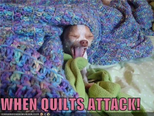 WHEN QUILTS ATTACK!