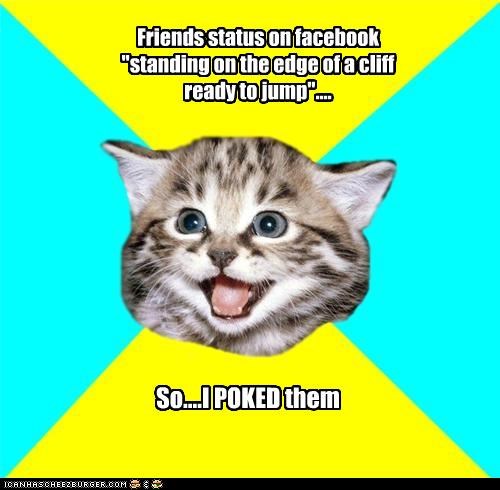 Happy Kitten: Facebook Status
