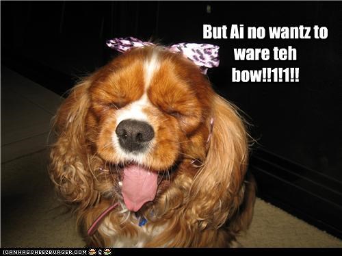 But Ai no wantz to ware teh bow!!1!1!!