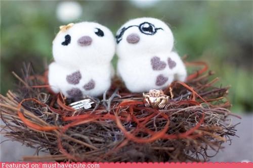 Felty Love Birds