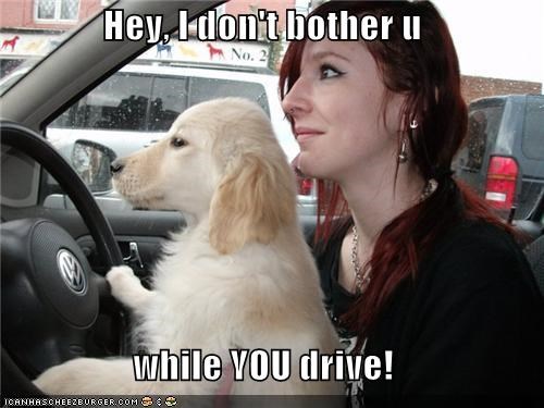 Hey, I don't bother u  while YOU drive!