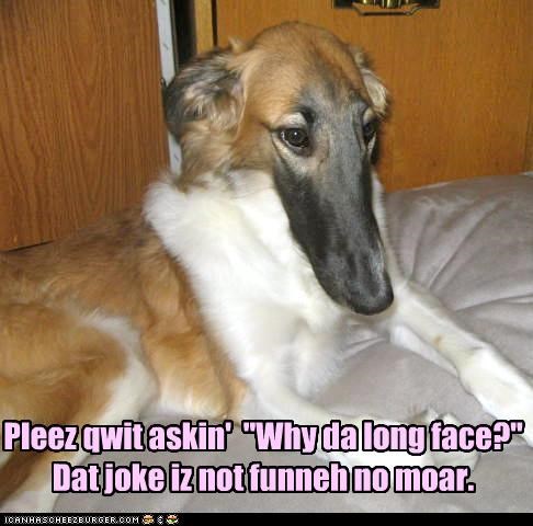 Never wuz funneh 2 begin wif