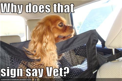 Why does that  sign say Vet?