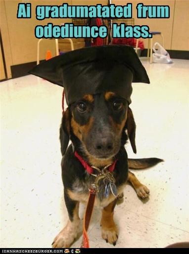 Spelling was not part of the curriculum.