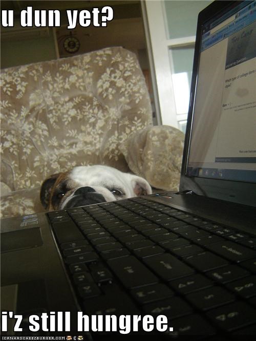 u dun yet?  i'z still hungree.