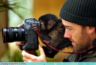 Acting Like Animals: Oooooh, Can I See?
