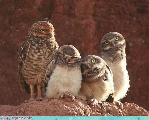 Family Portrait 