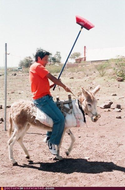 Modern Day Don Quixote 