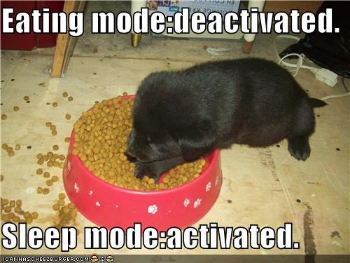 Eating mode:deactivated.  Sleep mode:activated.