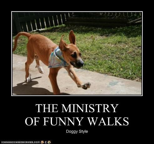 THE MINISTRY  OF FUNNY WALKS