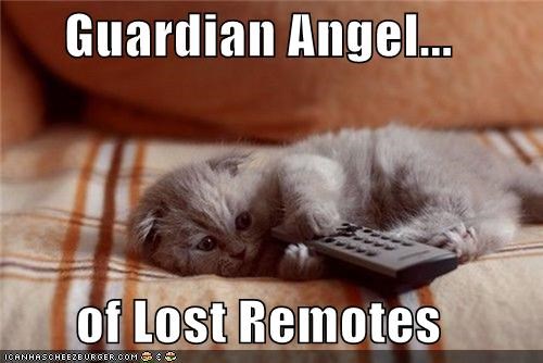 Guardian Angel...  of Lost Remotes