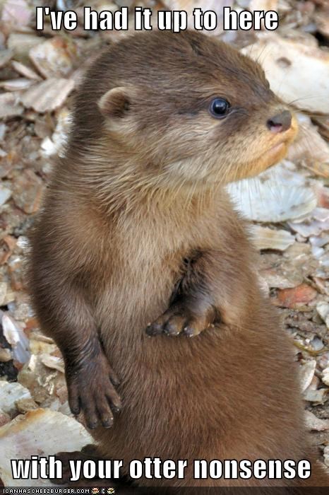I've had it up to here  with your otter nonsense