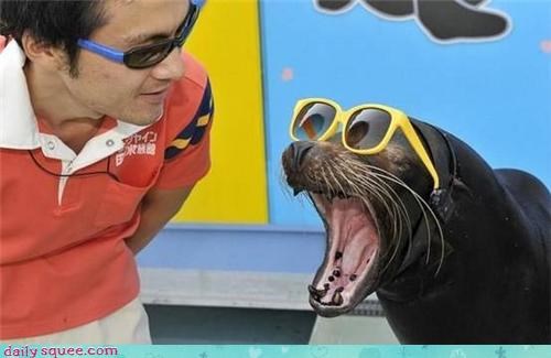 One Cool Seal