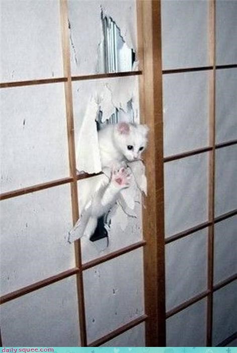 HIYA!