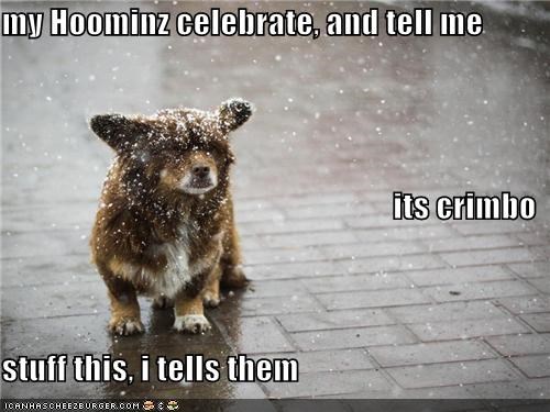 my Hoominz celebrate, and tell me  its crimbo stuff this, i tells them