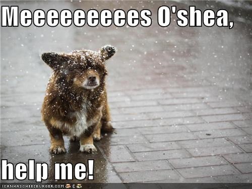 Meeeeeeeees O'shea,  help me!