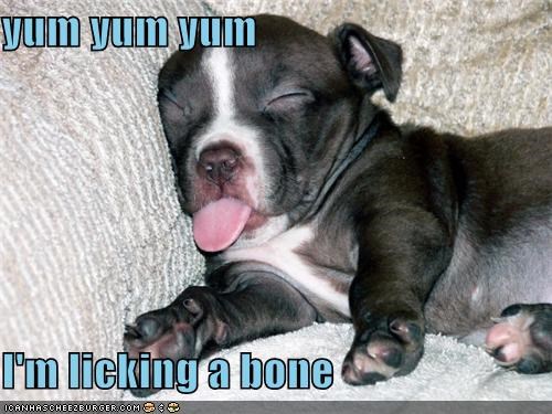 yum yum yum  I'm licking a bone