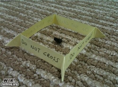 Crime Scene WIN