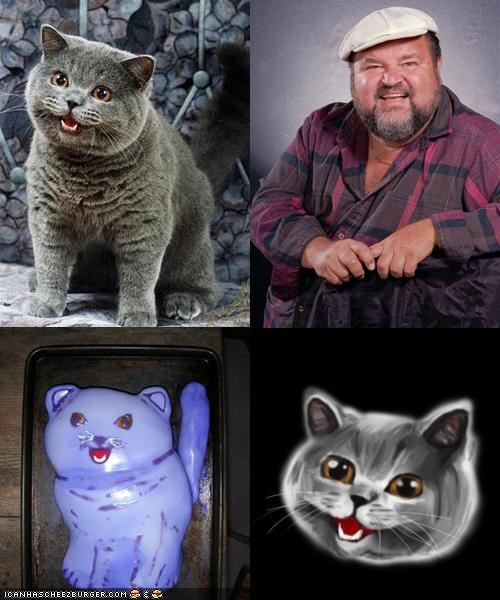 Happycat Look-Alike Contest!