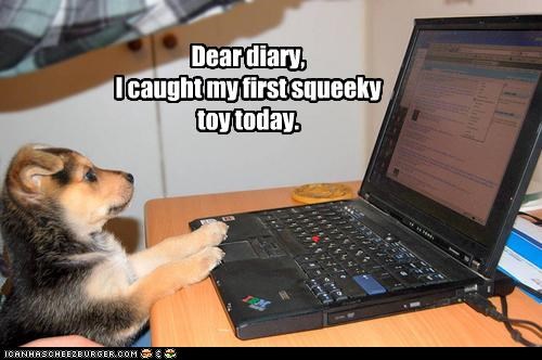 Dear diary,I caught my first squeeky toy today.