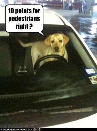 10 points for pedestrians right ?