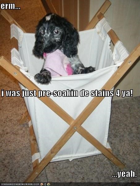 erm... i was just pre-soakin de stains 4 ya! ...yeah.