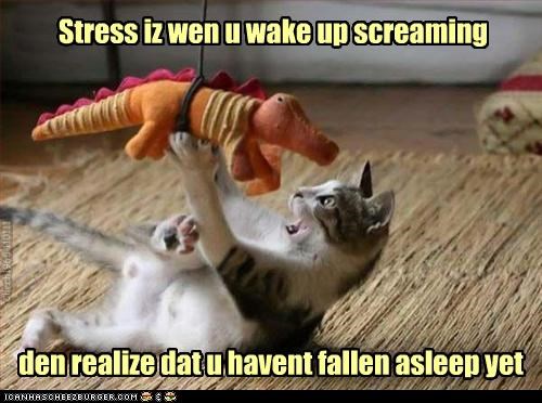 Kittehz Wurdz uv Wizdum