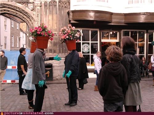Strange goings on in olde Canterbury