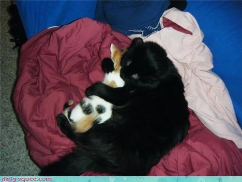 Reader Squee: Spooning 