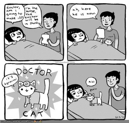 Kitteh Komic of teh Day: Dr. Tinycat Brakez teh Bad Nooz