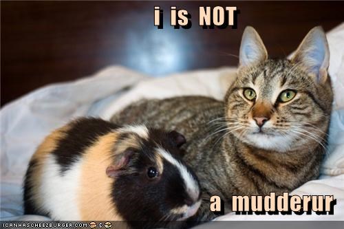 i  is  NOT  a  mudderur