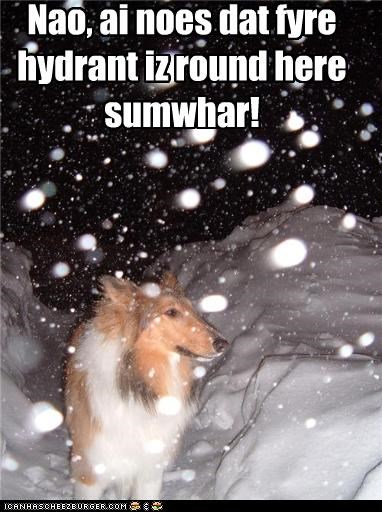 Gotta go!