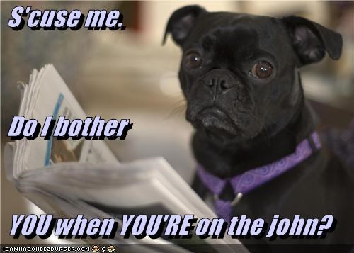 S'cuse me.   Do I bother    YOU when YOU'RE on the john?