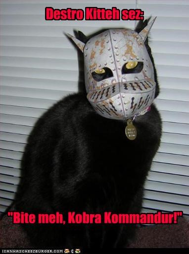 Destro Kitteh