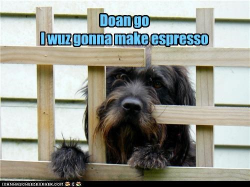 Doan go I wuz gonna make espresso