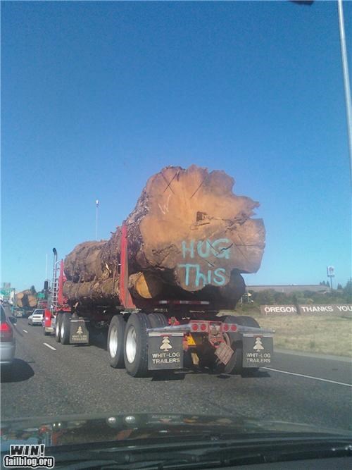 Tree Hug WIN