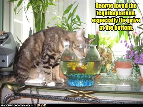 George loved the tequilaquarium, especially the prize at the bottom.