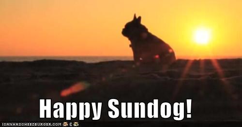 Happy Sundog!