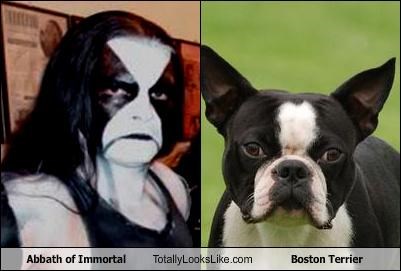Abbath of Immortal Totally Looks Like Boston Terrier
