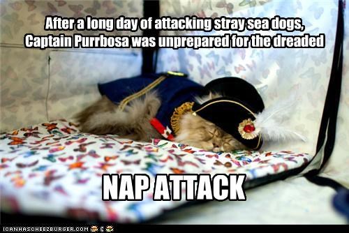 Captain Purrbosa