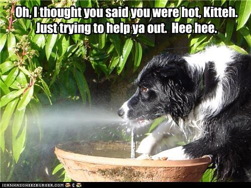 Oh, I thought you said you were hot, Kitteh.  Just trying to help ya out.  Hee hee.
